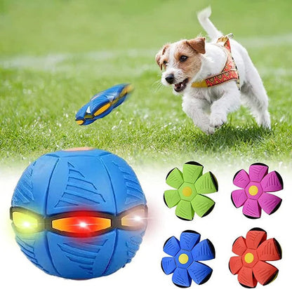 Pet Magic Flying Saucer Ball