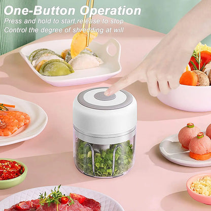 Electric Kitchen Food Chopper Portable Grinder